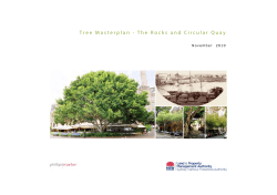 Tree Masterplan - The Rocks and Circular Quay
