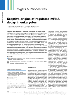 Exaptive origins of regulated mRNA decay in eukaryotes