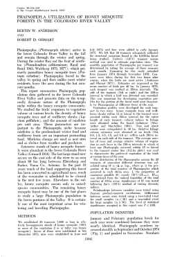 Phainopepla Utilization of Honey Mesquite Forests in the Colorado
