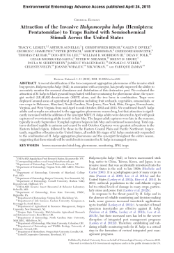 Attraction of the Invasive Halyomorpha halys