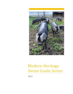 Modern Heritage Swine Guide Series