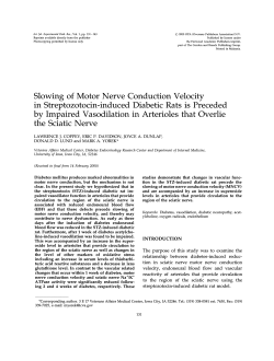 Slowing of Motor Nerve Conduction Velocity in