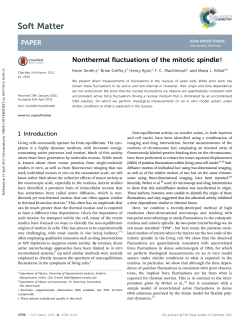 Nonthermal fluctuations of the mitotic spindle
