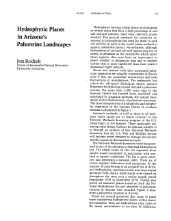 Hydrophytic Plants in Arizona`s Palustrine Landscapes