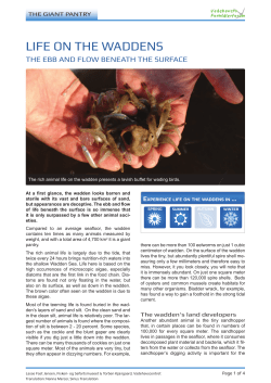 Life on the waddens.indd