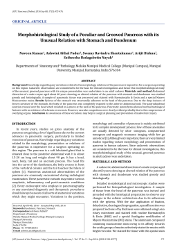 Morphohistological Study of a Peculiar and Grooved Pancreas with