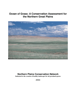 Ocean of Grass: A Conservation Assessment for the Northern Great
