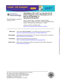 Misfolding of HLA-B27 as a Result of Its B Pocket Suggests a Novel