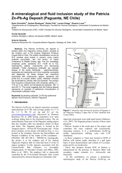 A mineralogical and fluid inclusion study of the Patricia Zn-Pb