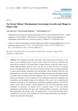 Mechanisms Governing Growth and Shape in Plant Cells