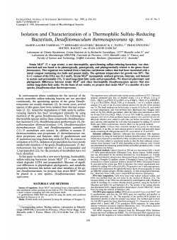 Isolation and Characterization of a Thermophilic Sulfate