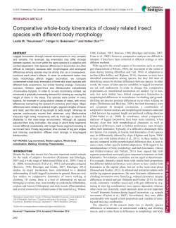 Comparative whole-body kinematics of closely related insect