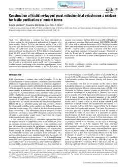 Construction of histidine-tagged yeast mitochondrial cytochrome c