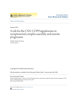 A role for the CSN/COP9 signalosome in synaptonemal complex