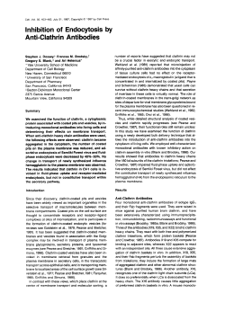 Inhibition of Endocytosis by Anti