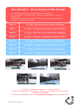 &bull; Exercise #4 &ldquo;Standing back extensions&rdquo;: 3 x 15 reps at all times