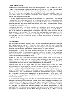 LOOSE LEAD WALKING Most owners look forward to being able to