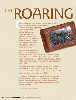 The Roaring 20s: A Call to Action