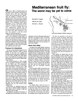 Mediterranean fruit fly: The worst may be yet to come