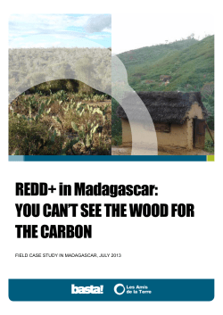 REDD+ in Madagascar: YOU CAN`T SEE THE WOOD FOR THE