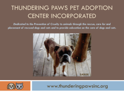 Thundering Paws Adoption Center Incorporated