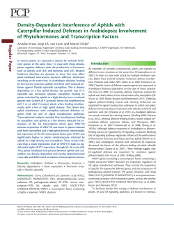 Density-Dependent Interference of Aphids with Caterpillar