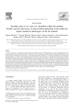 Possible roles of zic1 and zic4, identified within