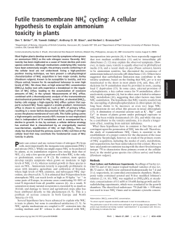 A cellular hypothesis to explain ammonium toxicity in plants