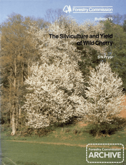 Forestry Commission Bulletin: The silviculture and yield of wild cherry