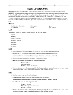 Enzyme Cut-outs Activity