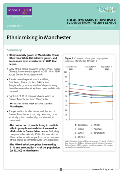 Ethnic mixing in Manchester - Centre on Dynamics of Ethnicity
