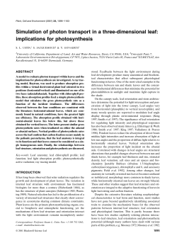 Simulation of photon transport in a three