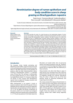 Keratinisation degree of rumen epithelium and body