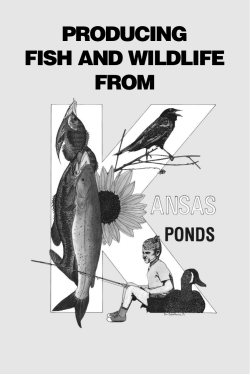 Producing Fish and Wildlife from Kansas Ponds