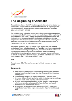 The Beginning of Animalia Exhibition