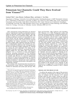 Potassium Ion Channels: Could They Have Evolved from Viruses?1[W]