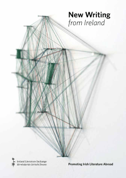 2013 catalogue - Literature Ireland