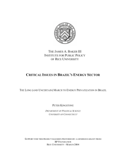 CRITICAL ISSUES IN BRAZIL`S ENERGY SECTOR