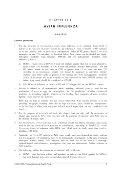 avian influenza