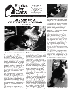 LIFE AND TIMES OF SYLVESTER HOFFMAN