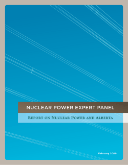 Nuclear Power Expert Panel Report