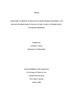 thesis carnivore attrition of the kaplan