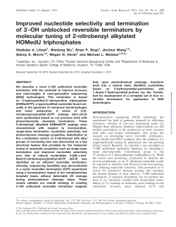 Improved nucleotide selectivity and termination of 30
