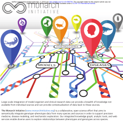 Large-scale integration of model organism and clinical