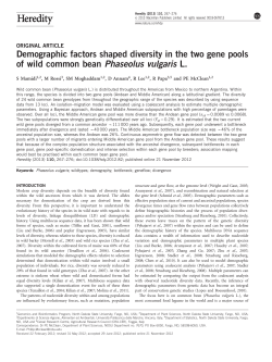 Demographic factors shaped diversity in the two gene pools