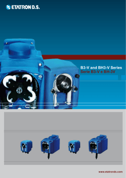 B3-V and BH3-V Series Serie B3-V e BH-3V