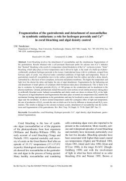 Fragmentation of the gastrodermis and detachment of zooxanthellae