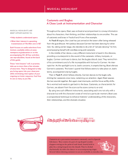Castanets and Bugles: A Close Look at Instrumentation and