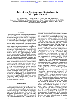 Role of the Centromere/Kinetochore in Cell Cycle Control