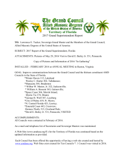 2017 Report - Grand Council AMD